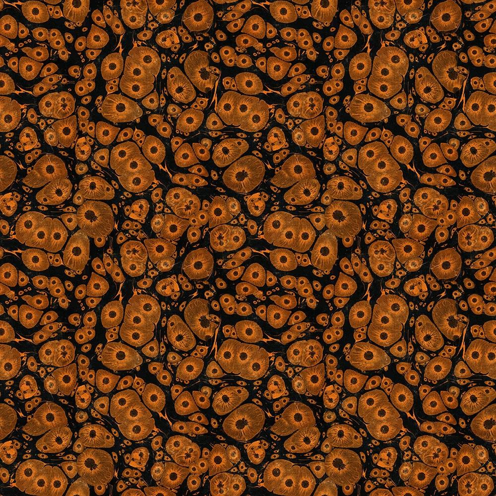 FreeSpirit Fabrics - Laboratory - Tim Holtz Eclectic Elements - Molecular Orange